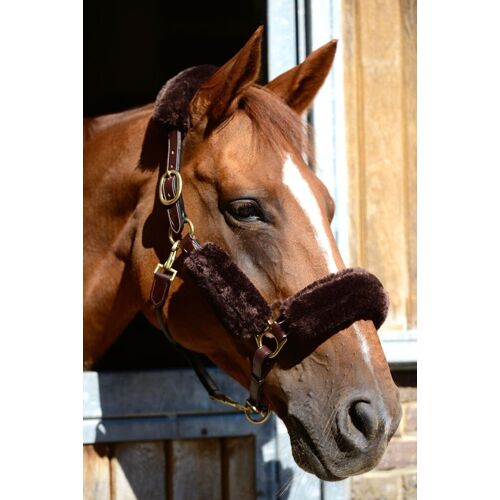 Kentucky Horsewear Schaffell-Halfterset 4-teilig braun