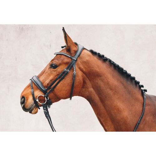 Schockemöhle anatomische Trense STANFORD espresso-silver WB