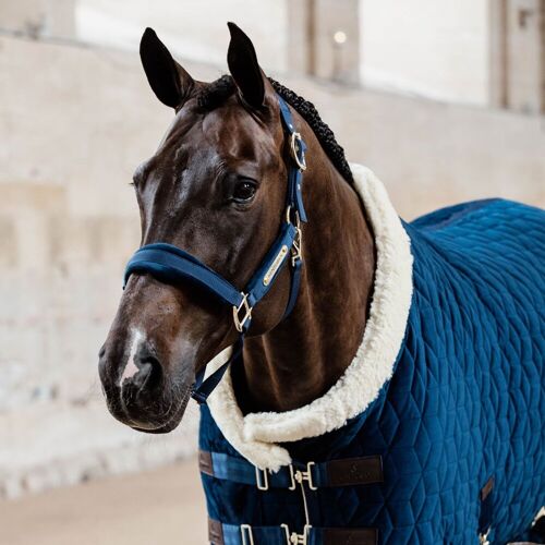 Kentucky Horsewear Halfter VELVET marine Cob