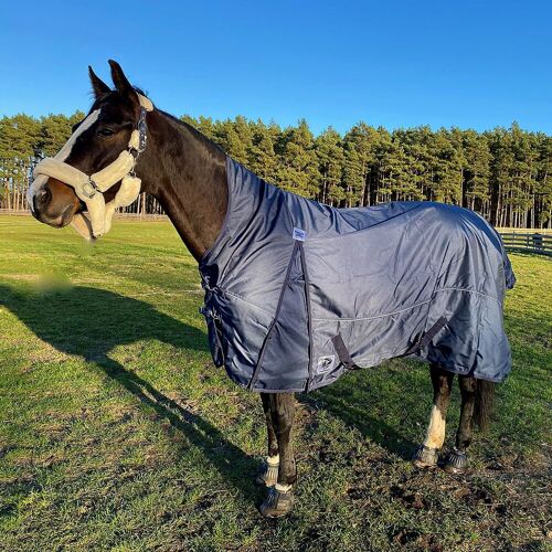 Reitsport Manski Manski Weidedecke DOMINATOR 0g, navy 105