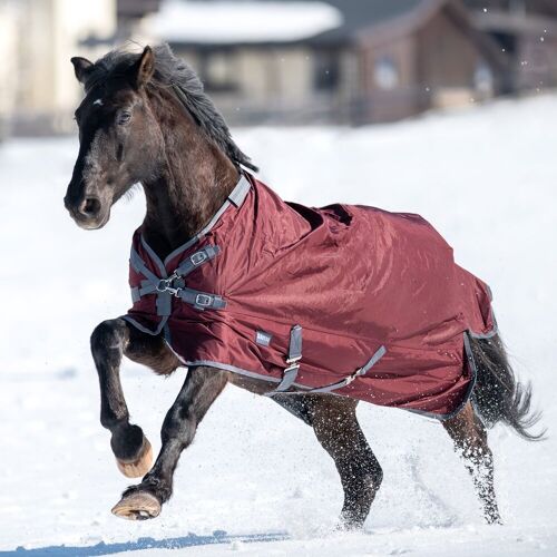 Busse Outdoordecke FLEXIBLE PRO 250 bordeaux (grau) 130