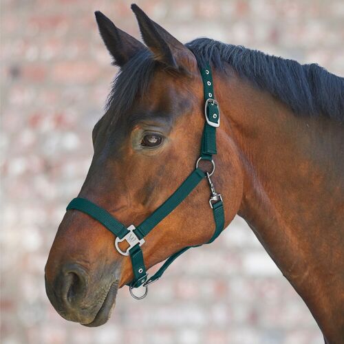 Waldhausen Halfter GLOOMY tannengrün PONY