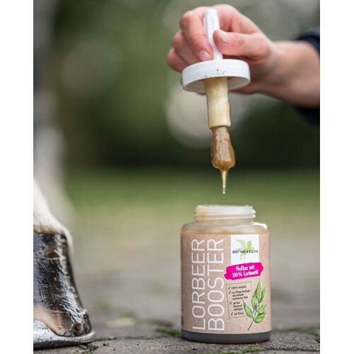 Bense & Eicke LorbeerBooster mit Pinsel 450ml