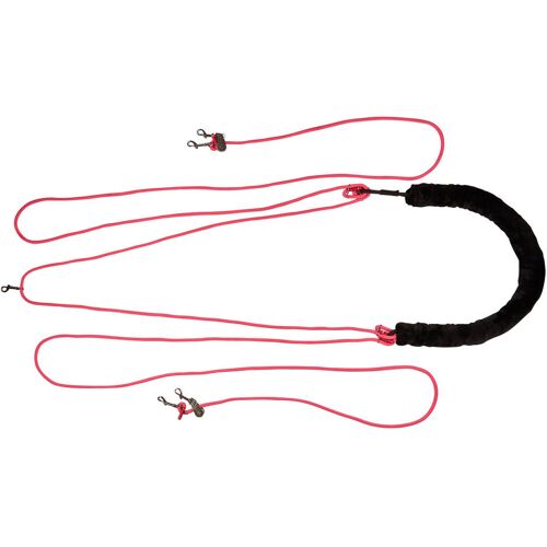 Imperial Riding Longierzügel IRH GOOD WILL diva pink