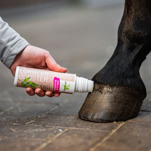 Bense & Eicke LorbeerBooster Bürstenflasche 200ml