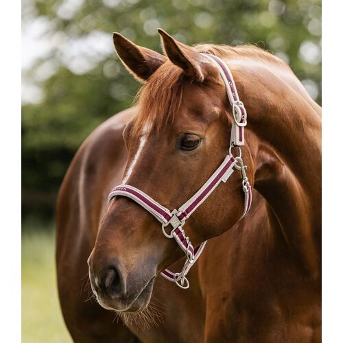 Waldhausen Halfter ATHLETIC samtrot WB