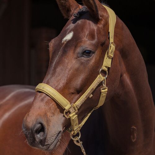 Eskadron Halfter FAUX LEATHER DOUBLE PIN (Heritage2025) cardamom W