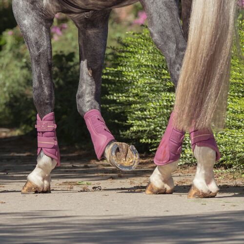 Eskadron Gamaschen MESH (Heritage2025) wildberry S