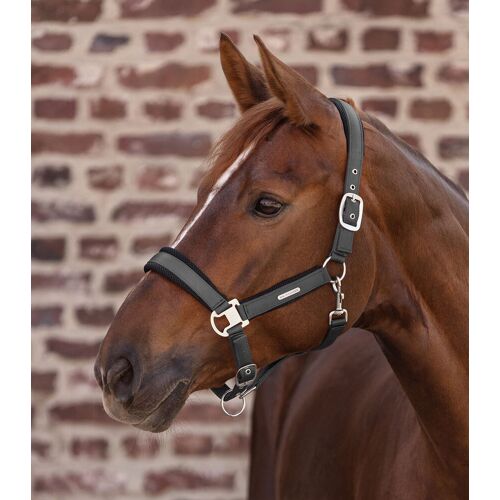 Waldhausen Halfter BREATH, anthrazit PON