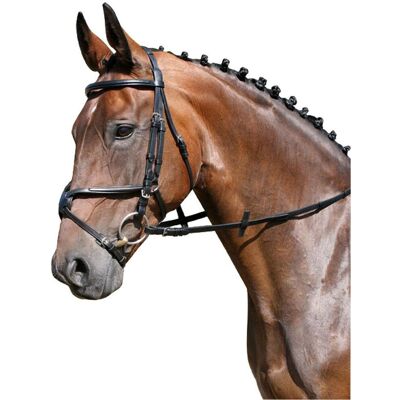EQuest Trense, mexikanisches Reithalfter, schwarz COB EQuest Trense, mexikanisches Reithalfter, schwarz COB