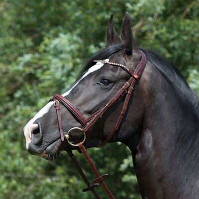 Kieffer Trensenzaum Arezzo mit Swarowski Elements, braun Warmblut Kieffer Trensenzaum Arezzo mit Swarowski Elements, braun Warmblut
