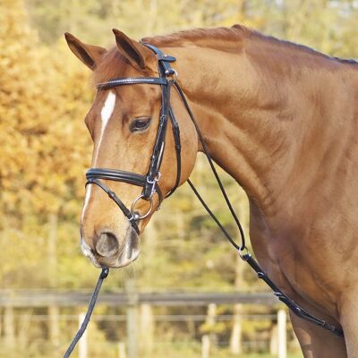 Busse Chambon BASIC schwarz-silber VB-WB Busse Chambon BASIC schwarz-silber VB-WB