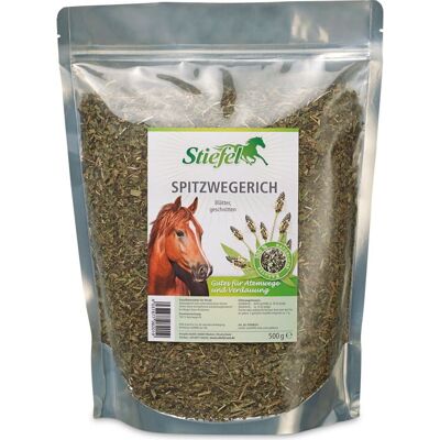 Stiefel Spitzwegerich 500g Tüte Stiefel Spitzwegerich 500g Tüte
