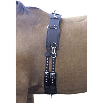 Euroriding Longiergurt Nylon Euro-Club, schwarz, full Euroriding Longiergurt Nylon Euro-Club, schwarz, full