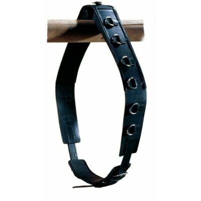 Euroriding Longiergurt, Leder, Euro-Club, schwarz Full Euroriding Longiergurt, Leder, Euro-Club, schwarz Full