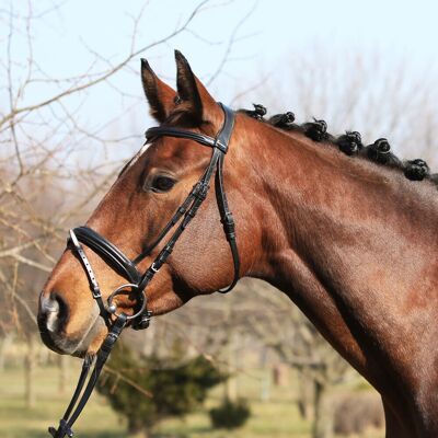 Euroriding Trense LYON, englisches Reithalfter, Euro-Club, schwarz COB Euroriding Trense LYON, englisches Reithalfter, Euro-Club, schwarz COB