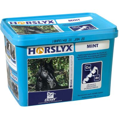 Derby HORSLYX - MINT 5kg Derby HORSLYX - MINT 5kg