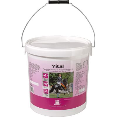 Derby Pferde-Ergänzungsfuttermittel VITAL 7,5kg Eimer pelletiert Derby Pferde-Ergänzungsfuttermittel VITAL 7,5kg Eimer pelletiert