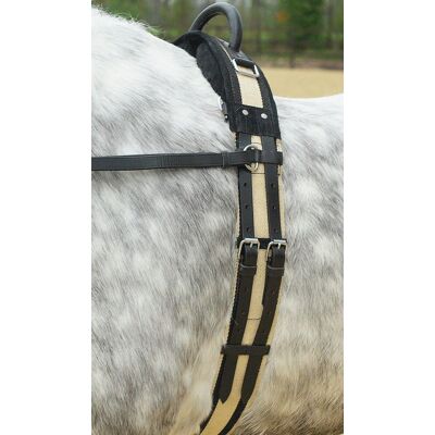 Busse Longiergurt mit Handgriff, schwarz SH Busse Longiergurt mit Handgriff, schwarz SH