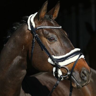Euroriding Trense LEON, Euro-Club, Fellimitat, schwarz/natur PONY Euroriding Trense LEON, Euro-Club, Fellimitat, schwarz/natur PONY