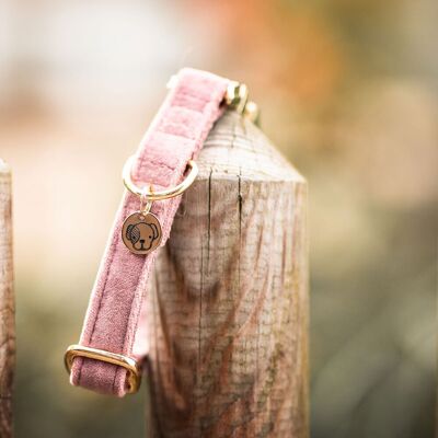 Kentucky Dogwear Samt-Hundehalsband - Old Rose - S Kentucky Dogwear Samt-Hundehalsband - Old Rose - S