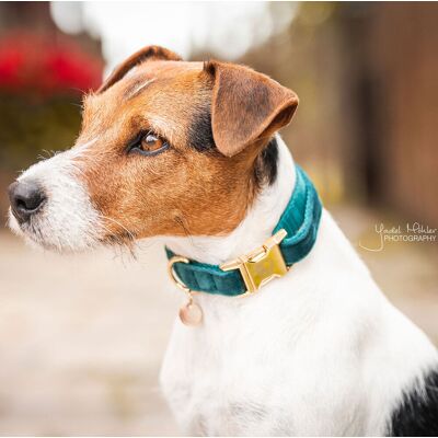 Kentucky Dogwear Smaragd Samt Halsband XS - Hundehalsband Kentucky Dogwear Smaragd Samt Halsband XS - Hundehalsband