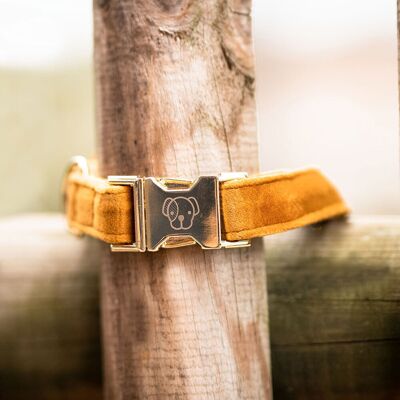 Kentucky Dogwear Senfgelb Samt-Hundehalsband - XXS - Elegant & Verstellbar Kentucky Dogwear Senfgelb Samt-Hundehalsband - XXS - Elegant & Verstellbar