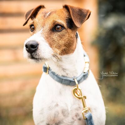 Kentucky Dogwear Samt Halsband XS Hellblau - Hundehalsband - Elegant & Verstellbar Kentucky Dogwear Samt Halsband XS Hellblau - Hundehalsband - Elegant & Verstellbar