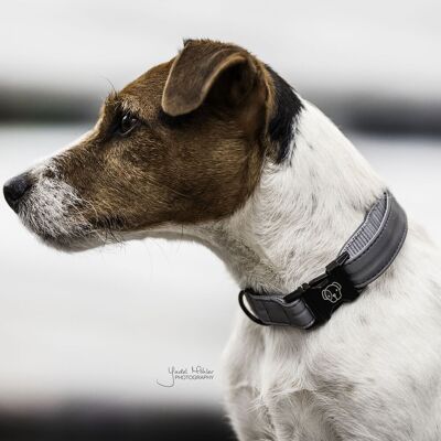 Kentucky Dogwear Reflektierendes Hundehalsband Silber XS - Hundetyp Kentucky Dogwear Reflektierendes Hundehalsband Silber XS - Hundetyp