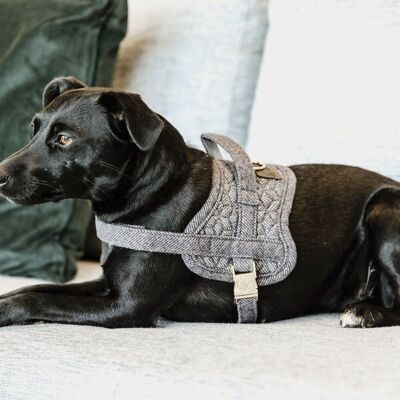 Kentucky Horsewear Kentucky Dogwear Hundegeschirr BODY SAFE WOOL grau XXS Kentucky Horsewear Kentucky Dogwear Hundegeschirr BODY SAFE WOOL grau XXS