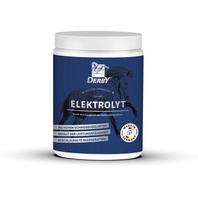 Derby Pferde-Ergänzungsfuttermittel ELEKTROLYT 1kg Dose Derby Pferde-Ergänzungsfuttermittel ELEKTROLYT 1kg Dose