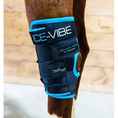 Horseware Sprunggelenksgamaschen ICE-VIBE, black/aqua Full Horseware Sprunggelenksgamaschen ICE-VIBE, black/aqua Full