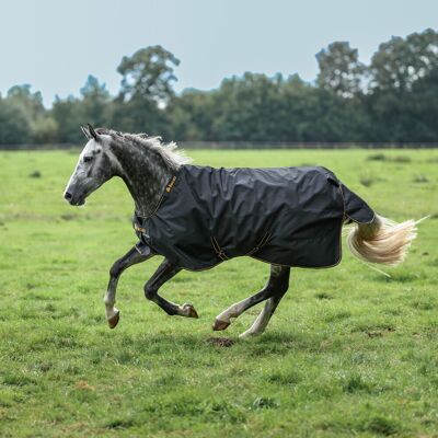 Bucas Weidedecke IRISH TURNOUT 100g, black-gold 140 Bucas Weidedecke IRISH TURNOUT 100g, black-gold 140