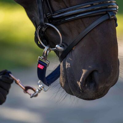 Imperial Riding Longierbrille IRH navy Imperial Riding Longierbrille IRH navy