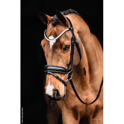 Schockemöhle Sports Trense SP VALENCIA black/silver WB Schockemöhle Sports Trense SP VALENCIA black/silver WB