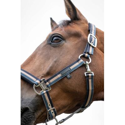 Eskadron Halfter DOUBLE PIN Classic Sports FS26 ocean/sierra/navy W Eskadron Halfter DOUBLE PIN Classic Sports FS26 ocean/sierra/navy W