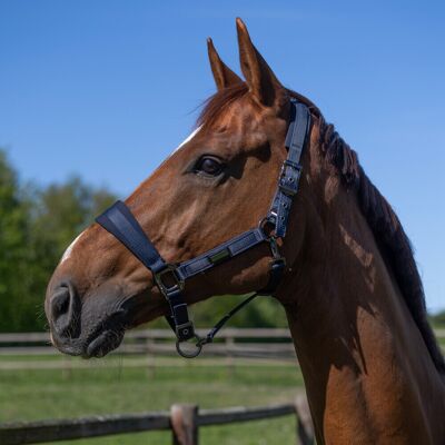 Kingsland Halfter Set KLLucca, navy PONY Kingsland Halfter Set KLLucca, navy PONY