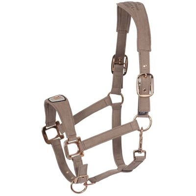 Cavallo Halfter CAVALPAWEL mocha latte VB Cavallo Halfter CAVALPAWEL mocha latte VB
