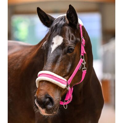 Waldhausen Halfter Elegant, pink VB Waldhausen Halfter Elegant, pink VB