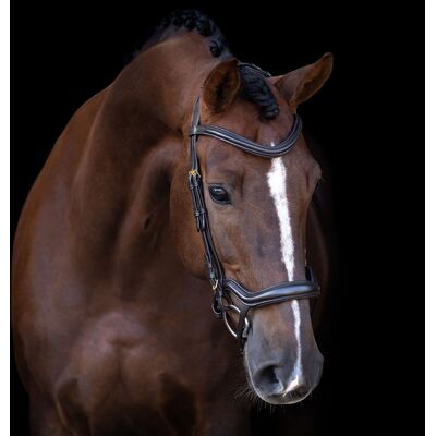 Imperial Riding Trense ergonomisches Reithalfter IRH brown Pony Imperial Riding Trense ergonomisches Reithalfter IRH brown Pony