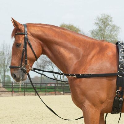 Busse Ausbindezügel OESEN-STARR schwarz SH/M-Pony Busse Ausbindezügel OESEN-STARR schwarz SH/M-Pony