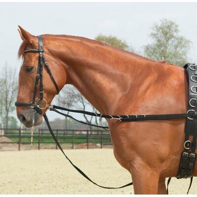 Busse Ausbindezügel OESEN-STARR schwarz G-Pony/VB Busse Ausbindezügel OESEN-STARR schwarz G-Pony/VB