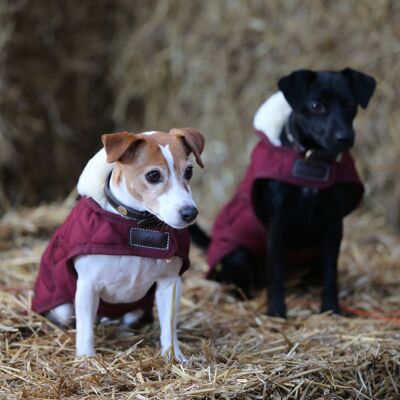 Kentucky Dogwear Unisex Hundemantel - Kunstfell, 71-80cm - Rot Kentucky Dogwear Unisex Hundemantel - Kunstfell, 71-80cm - Rot