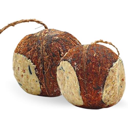 Lyra Pet GmbH 4 Stk. Lyra Pet® Gefüllte Kokosnuss mit Löchern