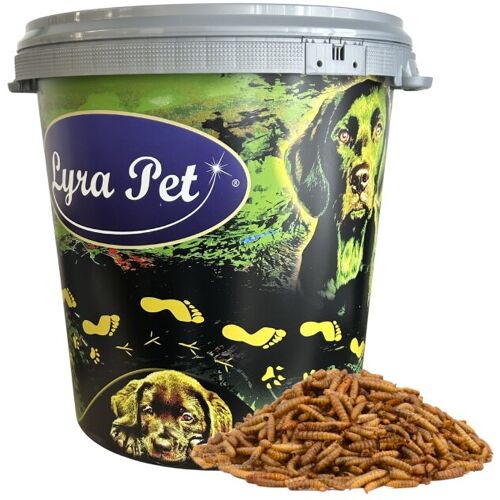Lyra Pet GmbH 5 kg Lyra Pet® Soldatenfliegenlarven in 30 L Tonne