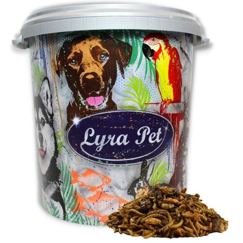 Lyra Pet GmbH 5 kg Lyra Pet® Protein Boost Insekten Mix - mit Mehlwürmern, Shrimps & Grashüpfern in 30 L Tonne