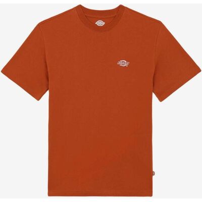 Dickies Summerdale T-Shirt orange - S male Dickies Summerdale T-Shirt orange - S male