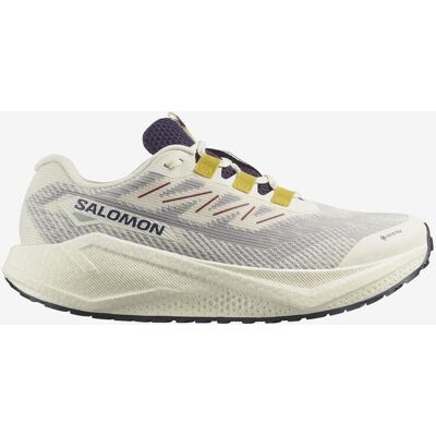 Salomon Aero Blaze 3 Grvl GORE-TEX Schuhe beige grau - 42(2/3) male Salomon Aero Blaze 3 Grvl GORE-TEX Schuhe beige grau - 42(2/3) male