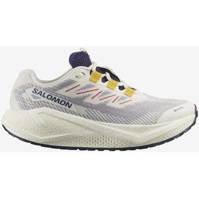 Salomon Aero Blaze 3 Grvl Damen Schuhe GORE-TEX beige grau - 43(1/3) female Salomon Aero Blaze 3 Grvl Damen Schuhe GORE-TEX beige grau - 43(1/3) female