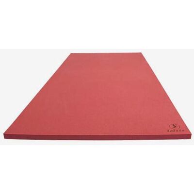 Schwimmender Teppich Leisis 200x100x4 cm rot Schwimmender Teppich Leisis 200x100x4 cm rot